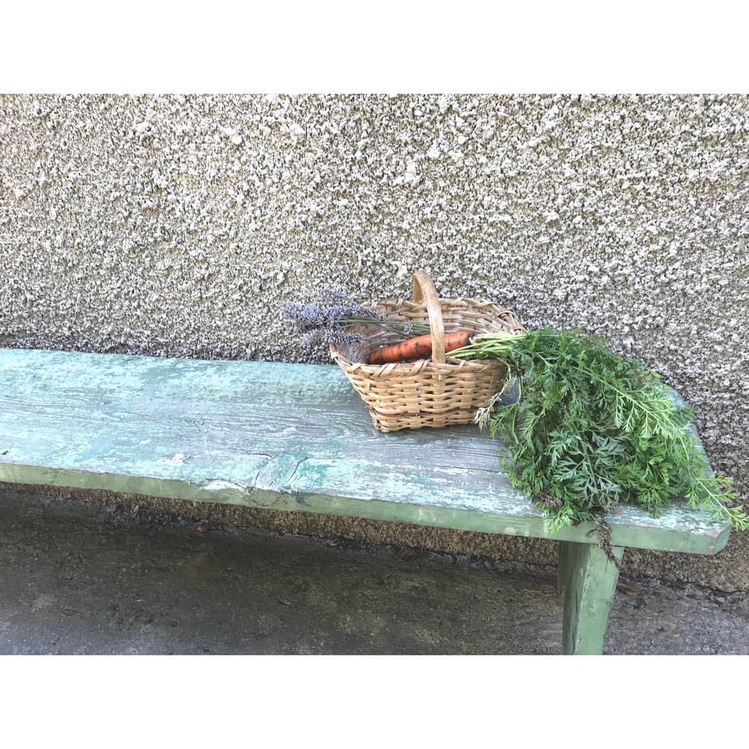 アデルさんのインスタグラム写真 - (アデルInstagram)「リストリ家のヴァカンス事情。  小さなパニエを持ってラベンダーと菜園に野菜を採りに。  ニンジンを引っこ抜き、トマトをもぎ取る。 足元にいるアリを観察して、赤や黄色のお花を摘み、時々通りかかるヤモリに驚く。  道にはロバや牛やヤギもいたりする。  そんなシンプルで豊かな暮らしを楽しんでいます。 #corse #コルシカ島 #フランス #vacances #naturalliving」8月11日 15時50分 - ader_eri