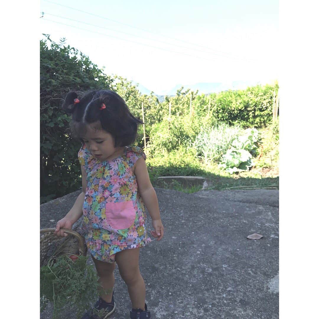 アデルさんのインスタグラム写真 - (アデルInstagram)「リストリ家のヴァカンス事情。  小さなパニエを持ってラベンダーと菜園に野菜を採りに。  ニンジンを引っこ抜き、トマトをもぎ取る。 足元にいるアリを観察して、赤や黄色のお花を摘み、時々通りかかるヤモリに驚く。  道にはロバや牛やヤギもいたりする。  そんなシンプルで豊かな暮らしを楽しんでいます。 #corse #コルシカ島 #フランス #vacances #naturalliving」8月11日 15時50分 - ader_eri