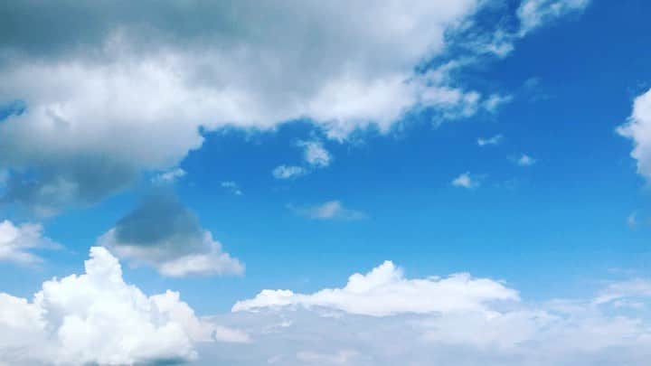 石井元気のインスタグラム