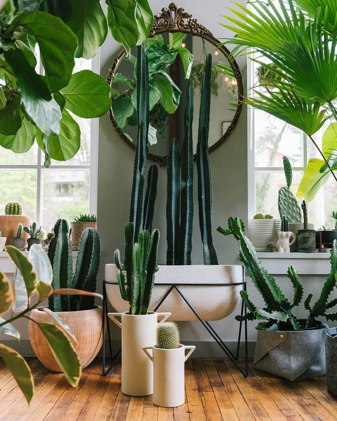 west elmさんのインスタグラム写真 - (west elmInstagram)「🌵Welcome to @hiltoncarter's plant jungle 🌿featuring our Shape Studies vases! Start living your best plant-parent life with his foolproof tips through the link in our bio. #getgrowing #greenthumb #plantgang #indoorjungle」8月11日 8時25分 - westelm