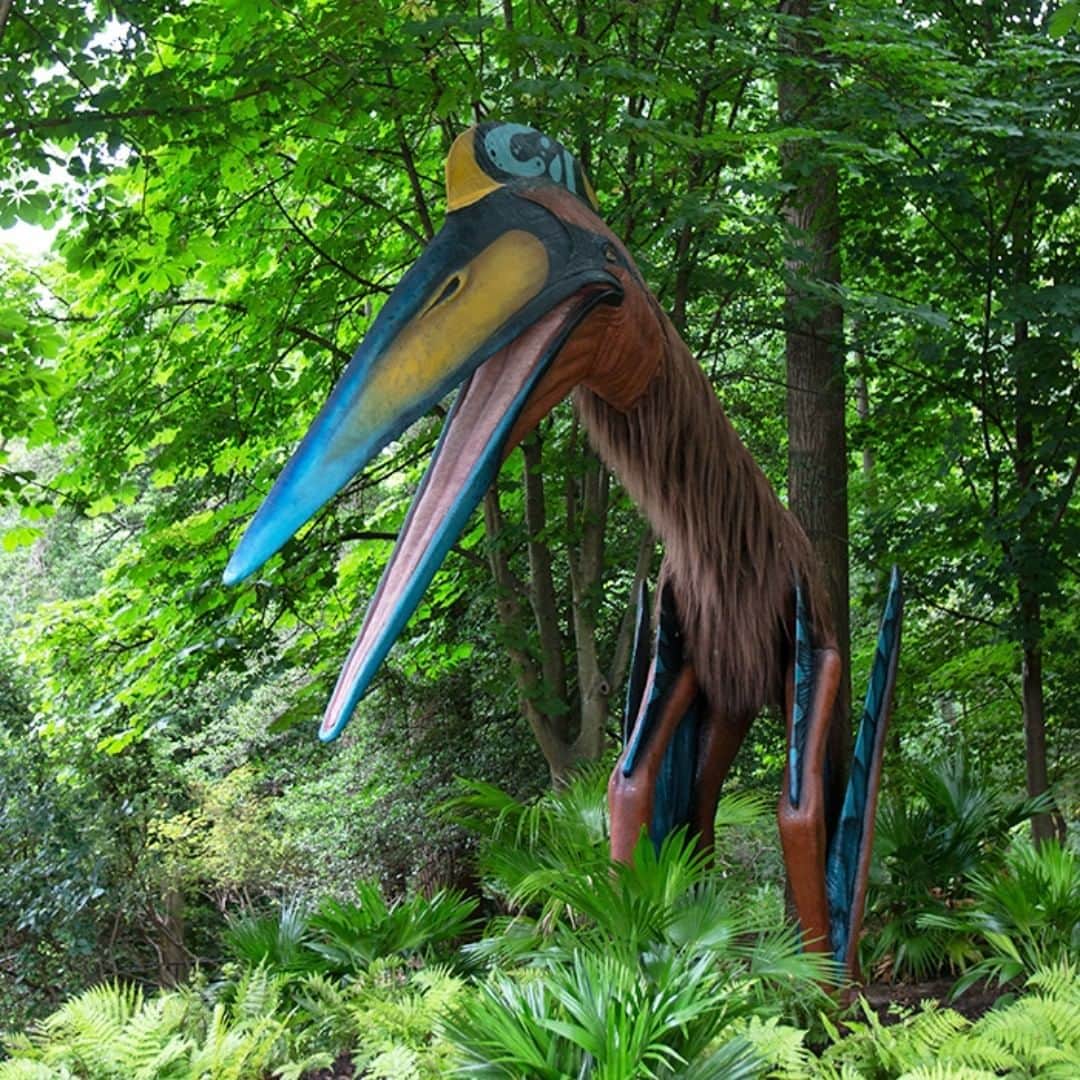 スミソニアン国立動物園さんのインスタグラム写真 - (スミソニアン国立動物園Instagram)「🦖Come see #Quetzalcoatlus with a wingspan of 30 feet! Then check out some dinosaurs like T. Rex and dilophosaurus, some species that have been around since the Jurassic era, and some 🐦. #DinoSummer is at the Zoo until Sep. 2!」8月11日 9時00分 - smithsonianzoo