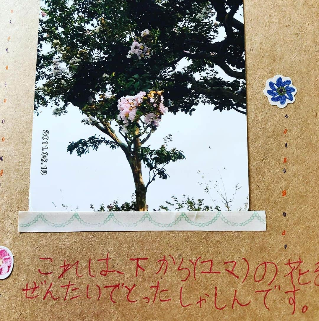 前野えまさんのインスタグラム写真 - (前野えまInstagram)「夏休みといえば自由研究🌻 小2の頃に神奈川県平塚市の「花菜ガーデン」に行ってお花について自由研究をしました。 たくさん写真を撮って図鑑で調べて作った「エマのお花図鑑」💐 懐かしい思い出です🌱  #夏休み #夏休み自由研究 #自由研究 #花 #花図鑑 #神奈川県 #平塚市 #花菜ガーデン #花菜ガーデン平塚 #夏の思い出 #夏の工作 #夏の花 #懐かしい思い出 #前野えま #FAVO♡ #みんなでおこそうfavo革命」8月11日 9時07分 - maeno_ema