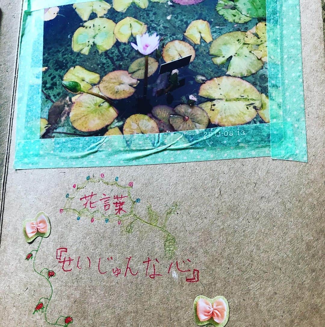 前野えまさんのインスタグラム写真 - (前野えまInstagram)「夏休みといえば自由研究🌻 小2の頃に神奈川県平塚市の「花菜ガーデン」に行ってお花について自由研究をしました。 たくさん写真を撮って図鑑で調べて作った「エマのお花図鑑」💐 懐かしい思い出です🌱  #夏休み #夏休み自由研究 #自由研究 #花 #花図鑑 #神奈川県 #平塚市 #花菜ガーデン #花菜ガーデン平塚 #夏の思い出 #夏の工作 #夏の花 #懐かしい思い出 #前野えま #FAVO♡ #みんなでおこそうfavo革命」8月11日 9時07分 - maeno_ema