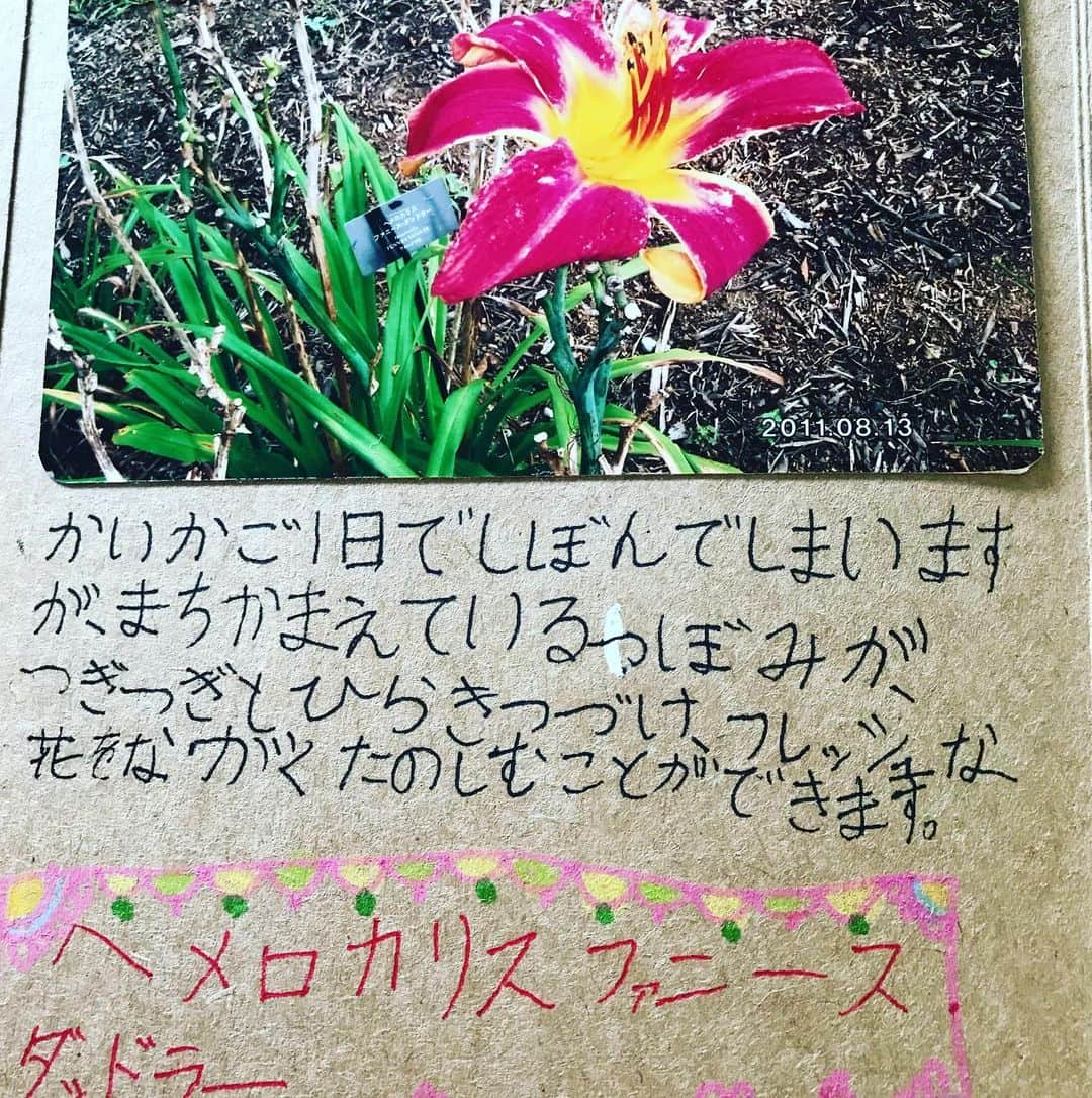 前野えまさんのインスタグラム写真 - (前野えまInstagram)「夏休みといえば自由研究🌻 小2の頃に神奈川県平塚市の「花菜ガーデン」に行ってお花について自由研究をしました。 たくさん写真を撮って図鑑で調べて作った「エマのお花図鑑」💐 懐かしい思い出です🌱  #夏休み #夏休み自由研究 #自由研究 #花 #花図鑑 #神奈川県 #平塚市 #花菜ガーデン #花菜ガーデン平塚 #夏の思い出 #夏の工作 #夏の花 #懐かしい思い出 #前野えま #FAVO♡ #みんなでおこそうfavo革命」8月11日 9時07分 - maeno_ema