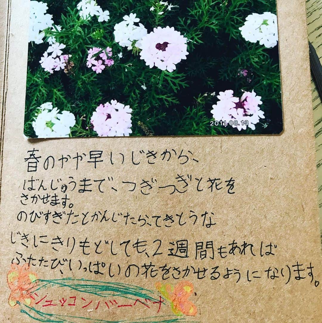 前野えまさんのインスタグラム写真 - (前野えまInstagram)「夏休みといえば自由研究🌻 小2の頃に神奈川県平塚市の「花菜ガーデン」に行ってお花について自由研究をしました。 たくさん写真を撮って図鑑で調べて作った「エマのお花図鑑」💐 懐かしい思い出です🌱  #夏休み #夏休み自由研究 #自由研究 #花 #花図鑑 #神奈川県 #平塚市 #花菜ガーデン #花菜ガーデン平塚 #夏の思い出 #夏の工作 #夏の花 #懐かしい思い出 #前野えま #FAVO♡ #みんなでおこそうfavo革命」8月11日 9時07分 - maeno_ema