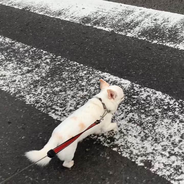 KORIKIのインスタグラム