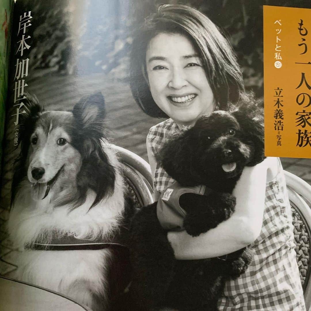 岸本加世子のインスタグラム：「昨日発売になった文藝春秋。姫子と殿と立木義浩さんに撮って頂きました。殿くんがちゃんとカメラ目線です。笑。」
