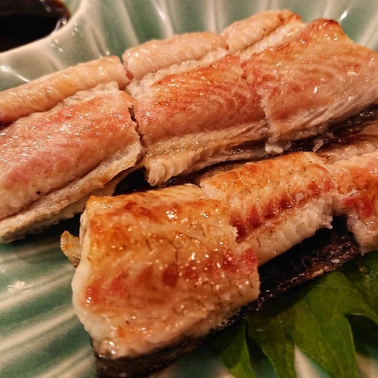 和田益典さんのインスタグラム写真 - (和田益典Instagram)「◆ 一昨日の晩御飯 (の一部) . . 魚介類が美味しいと友達に教えて貰った店へ。 . カウンターのみの店。 . 一人とか二人とかで呑むのに向いてるかな。 . . 添付写真は、かま塩×２、造り盛り、うなぎ白焼き、穴子天ぷら、バウ吉＆俺。 . . . #飲み屋 #呑み屋 #刺身 #刺し身 #お造り #かま焼き #かま塩 #カマ塩焼き #穴子天ぷら #穴子 #アナゴ #天ぷら #うなぎ #鰻 #鰻白焼き #うなぎ白焼き #鮪 #まぐろ #帆立貝 #鯛 #foodstagram #dinner #food #晩御飯 #晩ごはん #一昨日 #弁天町 #ぶんちゃん #osaka #japan .」8月11日 10時45分 - masunori_wada