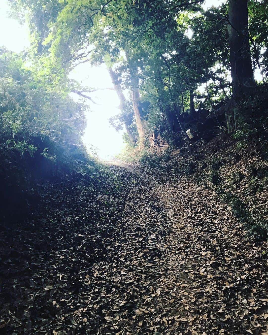 長崎峻侑さんのインスタグラム写真 - (長崎峻侑Instagram)「実家に帰ってきたら山の中の坂道ダッシュ💪 葉っぱで足元滑るからなかなか良い条件でトレーニングできる。 #実家 #お盆休み #休まずトレーニング」8月11日 16時33分 - shunsukenagasaki