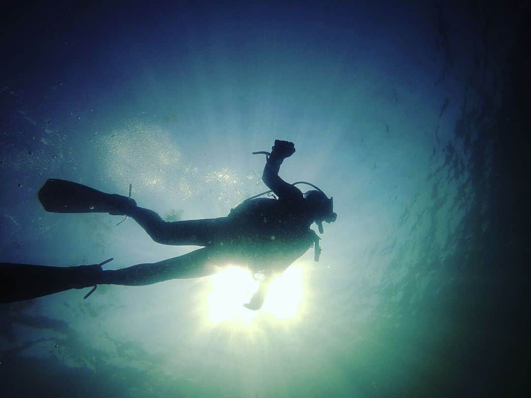 黒岩唯一さんのインスタグラム写真 - (黒岩唯一Instagram)「海底からのショット！！ 太陽と私！！ いかがですか？ ダイビングプロショップelvs 新田さんありがとうございます。  #diving  #fun  #水中ショット  #good  #黒岩唯一」8月11日 16時34分 - tadakazukuroiwa