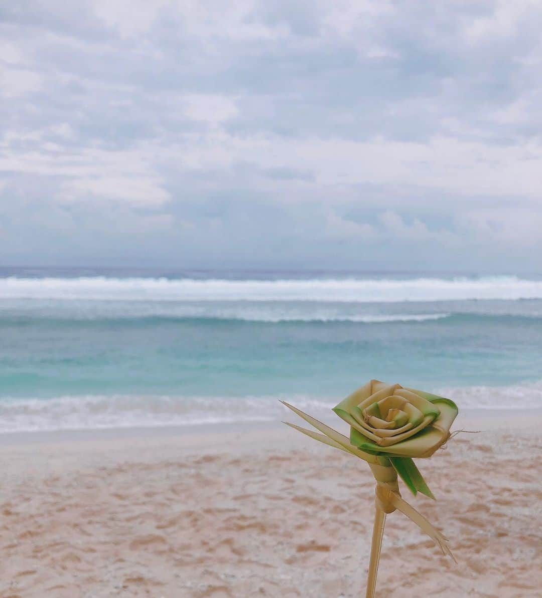 ユンナさんのインスタグラム写真 - (ユンナInstagram)「🌊세바스찬이 접어준 코코넛 꽃과 별백사장 👭친구, 가족 요즘 보호자도 해주는 @go_younjin 🏊🏻‍♀️넹 수영복 인증 요기요 🌴나무에 열린 플루메리아가 신기행 🐲얼마나 수영을 잘하게요 끝! 다시 시작🌾 말복 잘 챙겨드세요!」8月11日 11時16分 - younha_holic