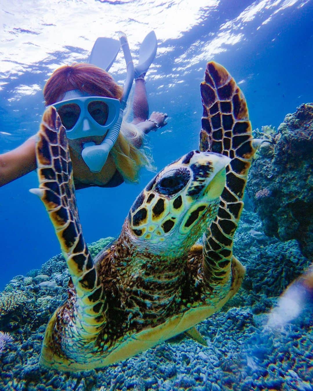 maakoさんのインスタグラム写真 - (maakoInstagram)「put your hands up🙌🏾🙌🏾🙌🏾💕💕💕🐢 Everybody🔥🔥🔥 #selfie 📸✌🏾 #座間味来たらお決まりの🐢📸✌🏾 ・ 座間味バンザーーーイ🙌🏾 夏休みバンザーーーイ🙌🏾 ・ 毎年恒例座間味へ🏝💕 座間味でいつもお世話になっているアディ🧔🏽 ツアーでしか会えない 珍しいタイマイ🐢ちゃん💕 🧜🏽‍♀️Sup&snorkeling Tour🌊 ▷ @noah_zamami ◁ ・ 座間味では遊泳区域外を出て泳ぐには 必ずガイドが必要になります🏝 シュノーケルしたり もっと海を楽しみたい人は ツアーに参加がおすすめです🌞🌞🌞👍🏾 ・ 台風近づいてて座間味100パーセント見れなかったから リベンジだ🔥🔥🔥🔥😤 Mask&Fin 🥽🧜🏽‍♀️ @gull_diving1955 #gull_diving1955 📸 #goprohero7 @gopro @goprojp  #gulldiving#gull_diving#GULL」8月11日 11時42分 - maakomind