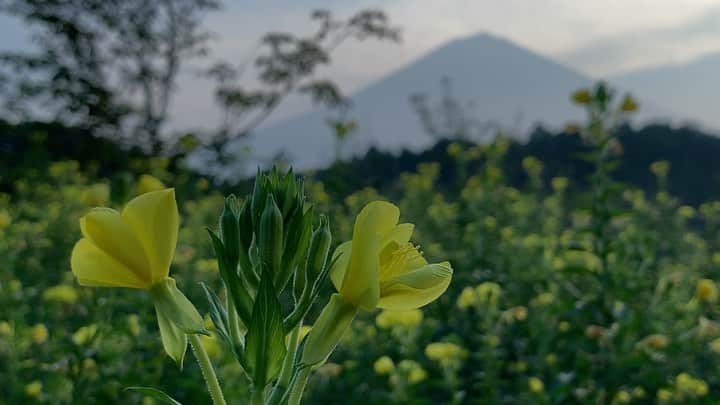 phantastic420のインスタグラム：「. 🤩🤩“Shizuoka” prefecture in Japan is a place where you can see the most “phantastic” Mt. Fuji🗻 in the world.🤩 #富士山 #mtfuji #japan #shizuoka #fujinomiya  #phantastic420photography #mostphantasticmtfuji #selamatpagi  #goodmorning  #おはようございます 😇😇😇😇😇😇😇🗻😇😇」