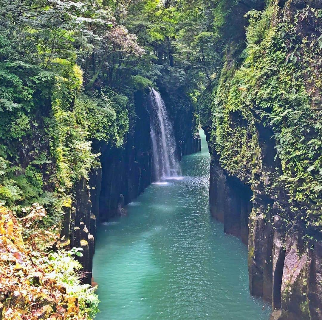 海原やすよさんのインスタグラム写真 - (海原やすよInstagram)「帰省🙂」8月11日 12時43分 - yasuyo_unabara