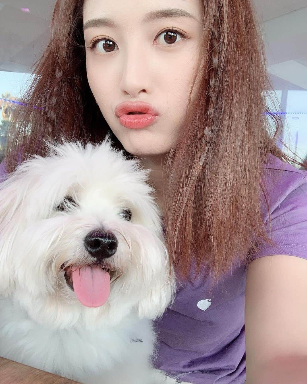 キム・ジェギョン さんのインスタグラム写真 - (キム・ジェギョン Instagram)「👩🏻❤️🐶」8月11日 12時45分 - _kimjaekyung_