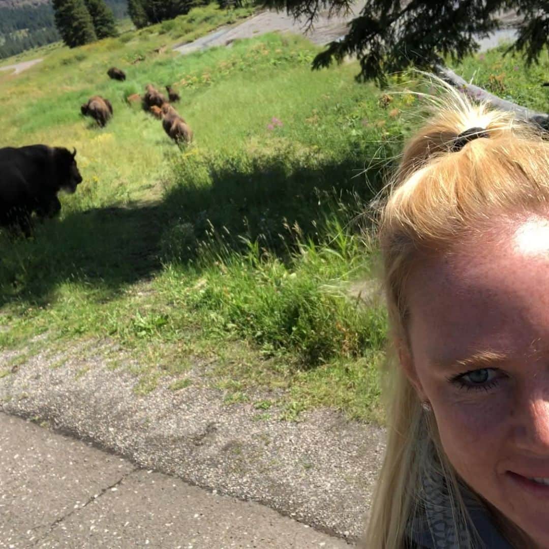 ホリー・ホルムさんのインスタグラム写真 - (ホリー・ホルムInstagram)「Well, I was in the middle of taking this selfie..... scroll left ;) The bison definitely are on the road a lot there... but they are grazing... just passing by etc... just let them be as we are in their territory... but never seen them comin like that. Was so awesome! #ynp #yellowstonenationalpark also.... turn on the volume so you can hear them in both videos. 😊 oh and there was also a bear... and a waterfall... and some antelope ... and so many more pictures but impossible to share them all!」8月11日 13時13分 - hollyholm