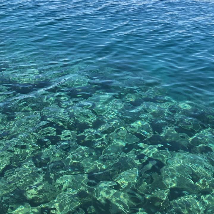 木本泉のグルメインスタ