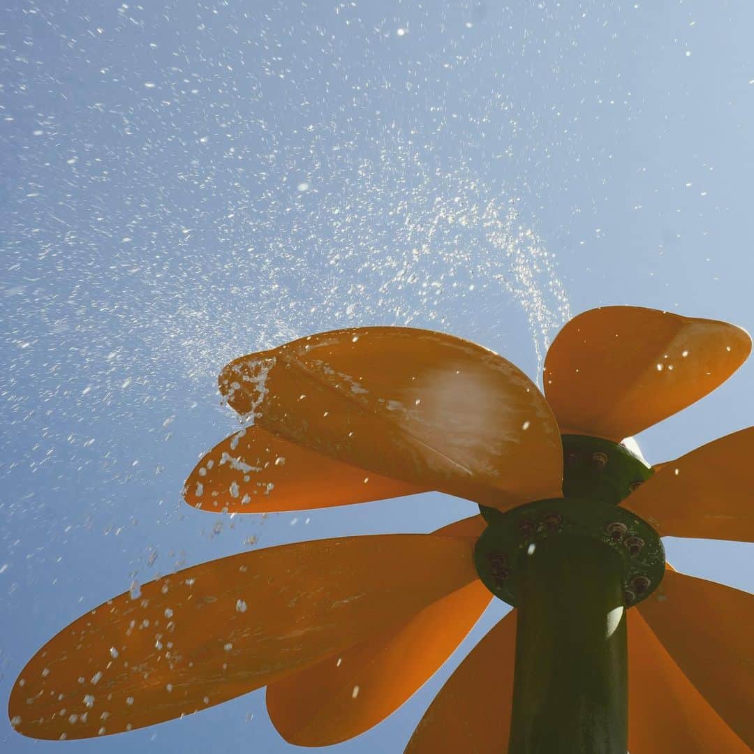 のインスタグラム：「Spray.  #Brentwood #Park #Summer #🚿 #🌴」