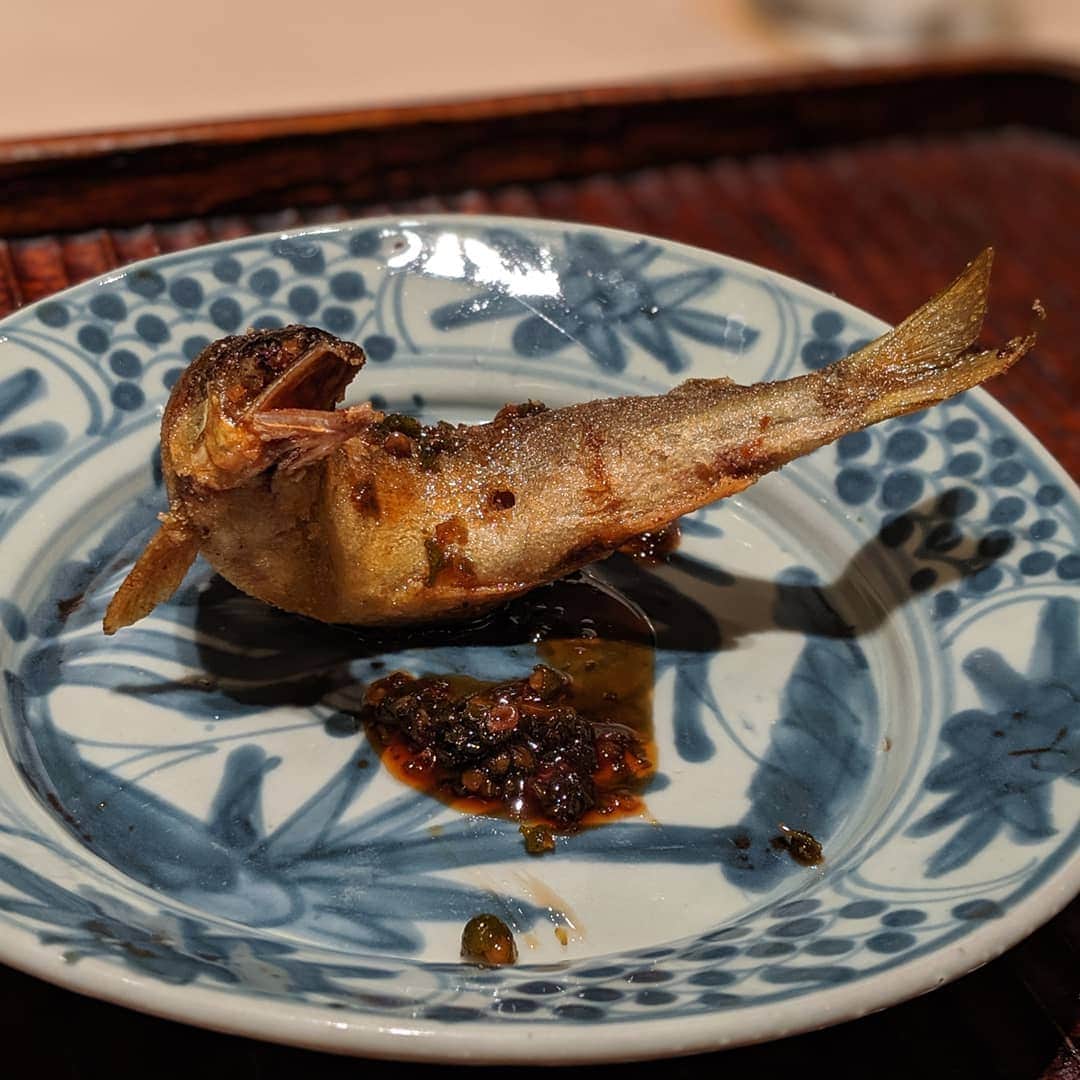 Masayasu Moritaのインスタグラム：「#鮎 #あゆ #sweetfish #ayu #神楽坂グルメ #tokyo #東京 #もりたま飯 #紀茂登 #foodie #foodgasm #foodphotography #foodstagram #美食 #delicious #tasty #instafood #グルメ #food #yummy #foodporn #デリスタグラマー #グルメな人と繋がりたい #和食好きな人と繋がりたい」