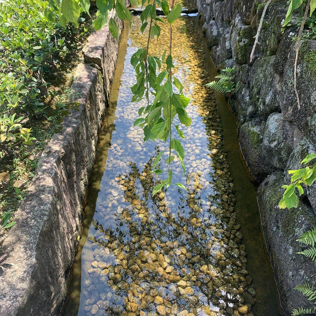 クリス智子さんのインスタグラム写真 - (クリス智子Instagram)「日本らしい清涼感、熱海にて。」8月11日 14時35分 - chris_tomoko