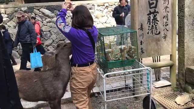 長竹実歩のインスタグラム：「逆さまの接吻/踊Foot Works」