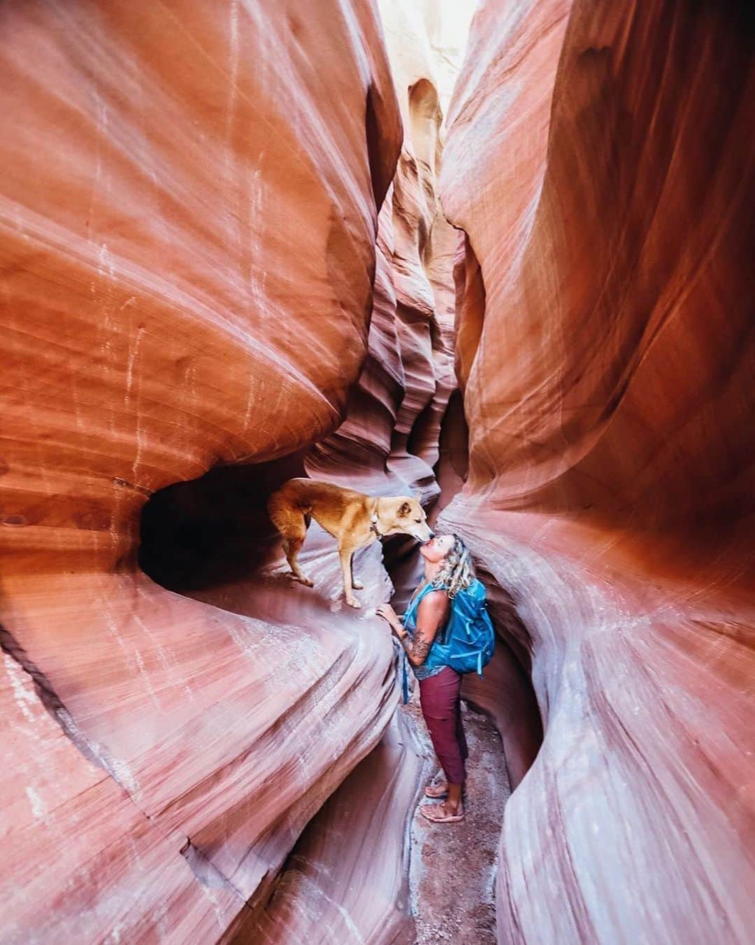 エディー・バウアーさんのインスタグラム写真 - (エディー・バウアーInstagram)「"I’ve been wearing these @eddiebauer Guide Pro capris pretty much all summer. For hiking, for climbing, for biking, for canyoneering...you name it. They’re just a damn good pair of pants and when you have one drawer that fits about 20 items, a damn good pair of pants is pretty important.” ⁣ - @briannamadia ⁣ ⁣ We're proud to be in your drawer, Brianna. #LiveYourAdventure ⁣ ⁣ Photo Credit: @briannamadia」8月12日 0時31分 - eddiebauer