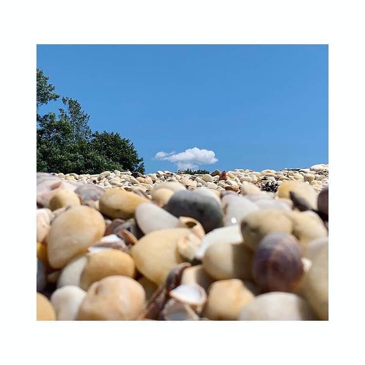 マッタさんのインスタグラム写真 - (マッタInstagram)「☀️-day love on this seashell beach 🐚 Stay cool today at Matta. Visit us at our Soho & Sag Harbor boutiques ✨ #mattanewyork #mattamade #sustainableliving」8月12日 0時33分 - mattanewyork
