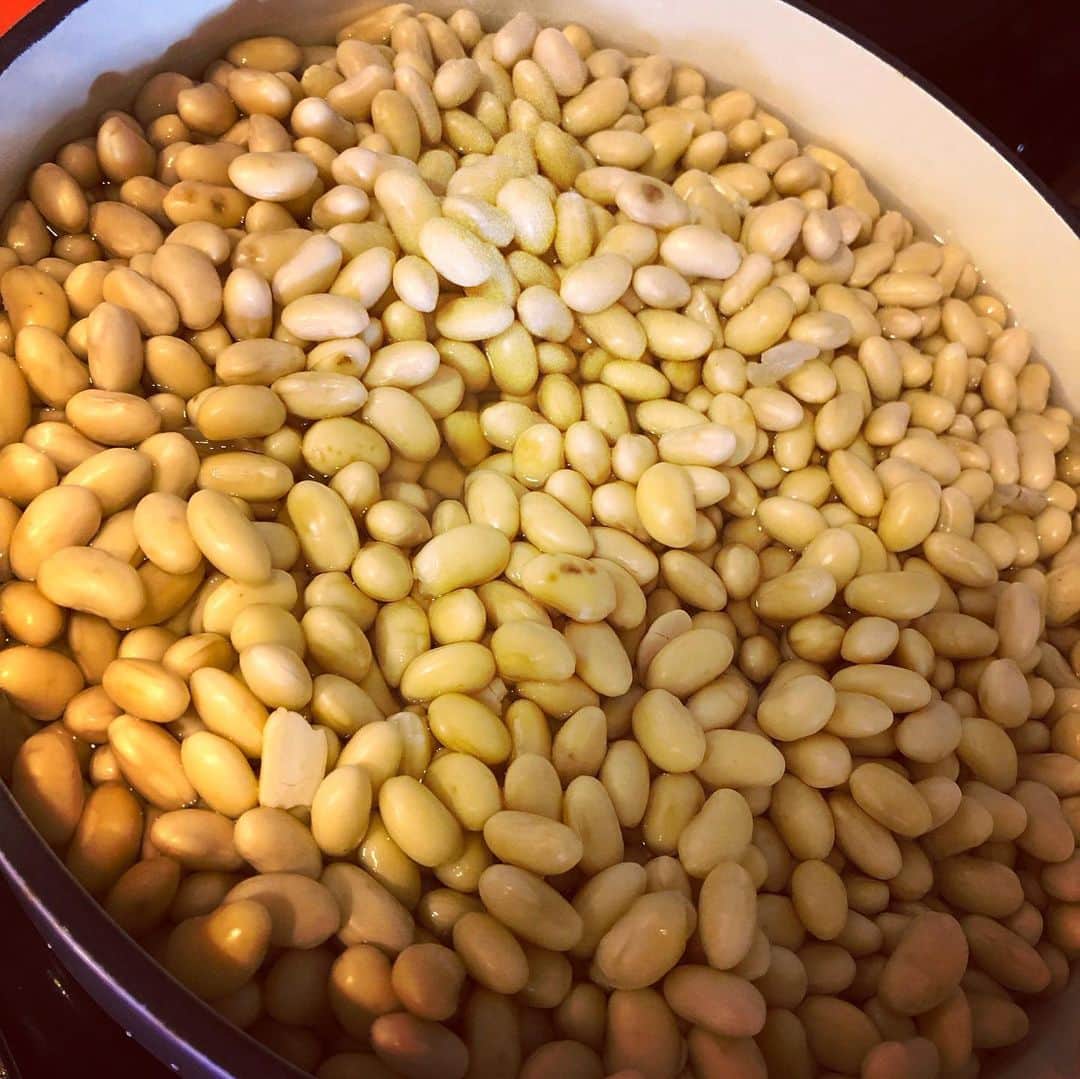 奥井雅美さんのインスタグラム写真 - (奥井雅美Instagram)「初めて大豆を柔らかくするところからの味噌づくりに挑戦しました！ 昨日から10時間水に浸しておいた大豆を4時間ほど煮て、その後ペースト状になるまでつぶし。。。容器に入れて仕込み完了☺︎ 朝の10時から始めて終わったら18時😳 テーブルの上で手で潰したからその作業に時間がかかりました。 で、たね味噌を入れるのを忘れていたので😵慌てて再度投入し、空気を抜いてラップして蓋して〜 とっても大変で時間かかるけど、なんか創作が好きなのだと思います。 音楽も編み物も、Tシャツリメイクも😋 最低半年は寝かせよーっと←お味噌 ・ ・ #自家製味噌 #発酵食品」8月12日 0時35分 - masamiokui