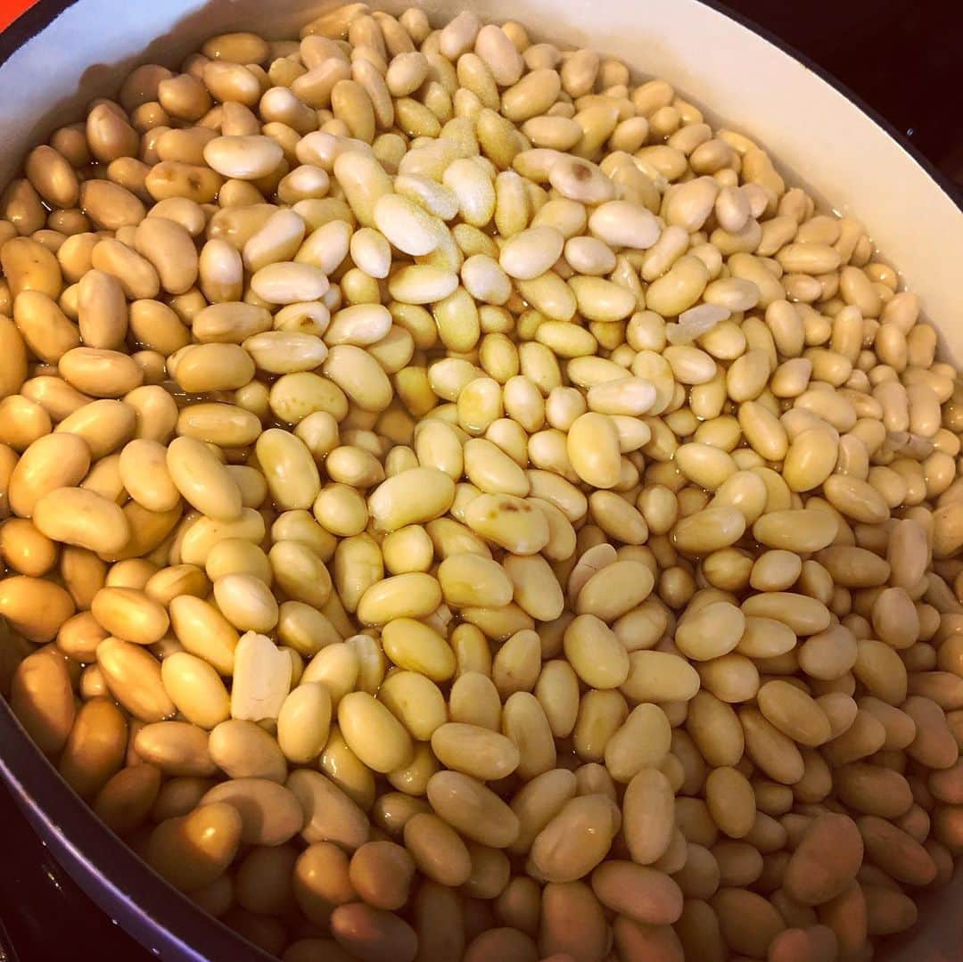 のインスタグラム：「初めて大豆を柔らかくするところからの味噌づくりに挑戦しました！ 昨日から10時間水に浸しておいた大豆を4時間ほど煮て、その後ペースト状になるまでつぶし。。。容器に入れて仕込み完了☺︎ 朝の10時から始めて終わったら18時😳 テーブルの上で手で潰したからその作業に時間がかかりました。 で、たね味噌を入れるのを忘れていたので😵慌てて再度投入し、空気を抜いてラップして蓋して〜 とっても大変で時間かかるけど、なんか創作が好きなのだと思います。 音楽も編み物も、Tシャツリメイクも😋 最低半年は寝かせよーっと←お味噌 ・ ・ #自家製味噌 #発酵食品」