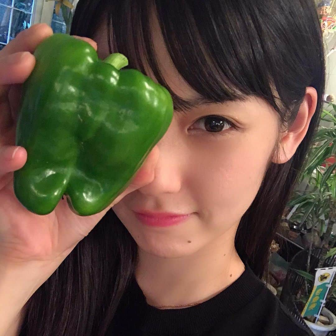 道重さゆみさんのインスタグラム写真 - (道重さゆみInstagram)「おばあちゃんの畑で出来た野菜おっきーーい！#ピーマン #ナス」8月11日 17時04分 - sayumimichishige0713