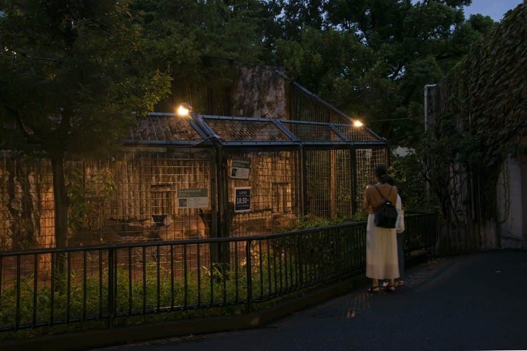 東京都庁広報課のインスタグラム