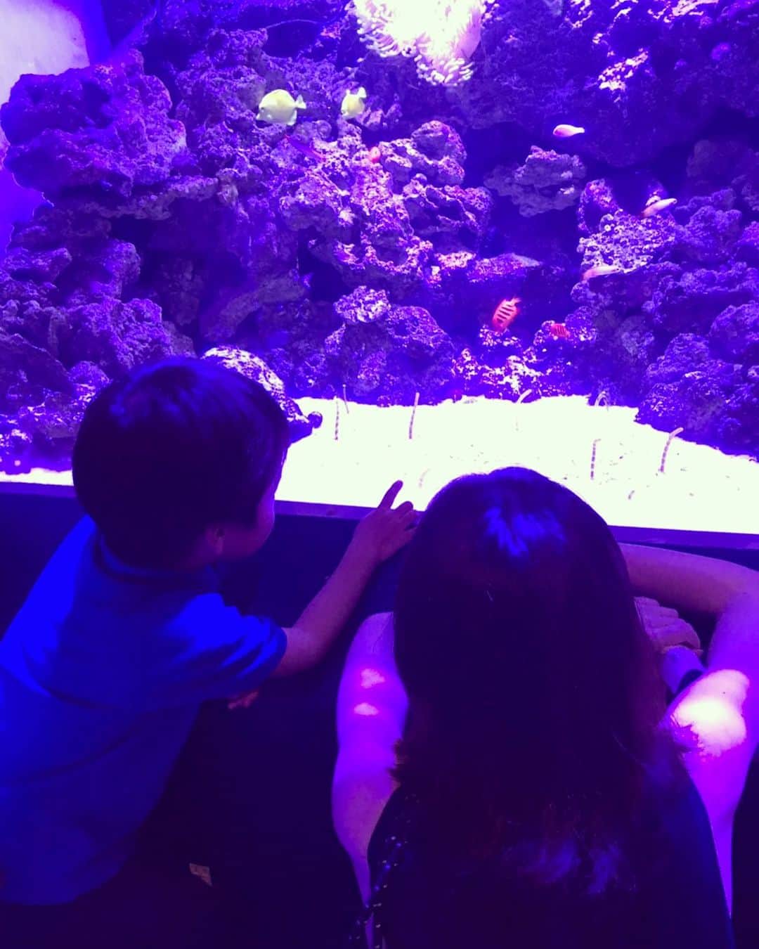 小橋めぐみのインスタグラム：「従姉妹の子供と水族館。 チンアナゴに興味深々。」
