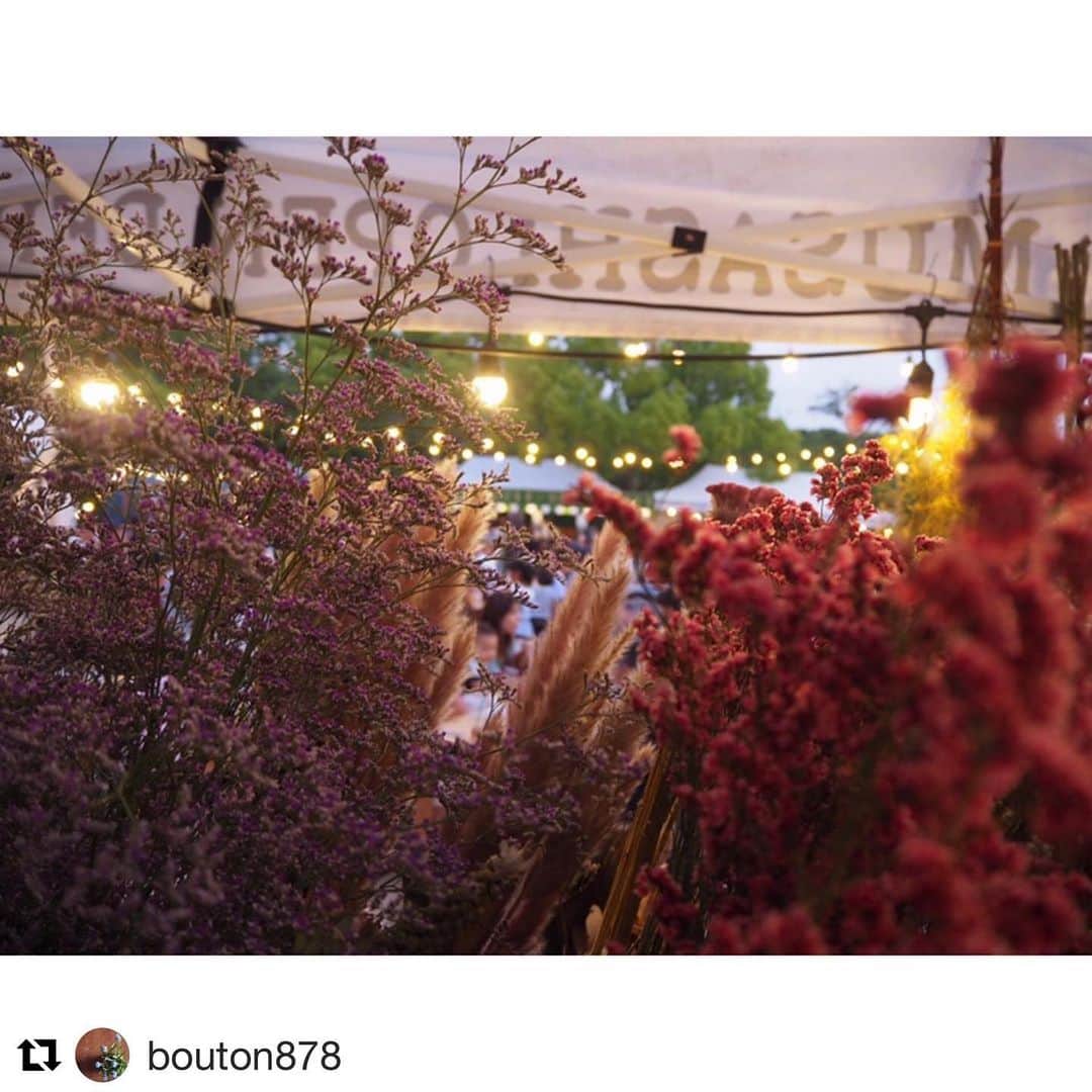 EINSHOP／アインショップさんのインスタグラム写真 - (EINSHOP／アインショップInstagram)「#Repost @bouton878 with @get_repost ・・・ 明日と明後日は夜市です。  ドライフラワー持っていきます。  8/12(月)13(火) #ムサシオープンデパート夜市  @634asaichi です。  暑い日が続いてますが、 涼しくなってくる16:00〜スタートです。  日時:8/12(月)13(火) 12日 16:00〜22:00 13日 16:00〜21:30 場所:日岡山公園いこいの広場 加古川市加古川町大野1682 ※雨天 荒天中止  いつものオーダーメイドスワッグ ミニスワッグなどお持ち致します。 パンパスグラスで出したので、お持ちしますね。  #花屋ぼたん#花のある暮らし#花#花のある生活#レッスン#ワークショップ#フラワーレッスン#花束#神戸市西区#フラワーアレンジメント教室 #flowers#flower#三木市レッスン #小野市#神戸市#加古川#明石#垂水#インテリア#インテリアフラワー#暮らし#おうち花#三田#ドライフラワー#ドライフラワーのある暮らし #ドライフラワーのある生活 #朝市 #稲美町」8月11日 17時53分 - 634asaichi