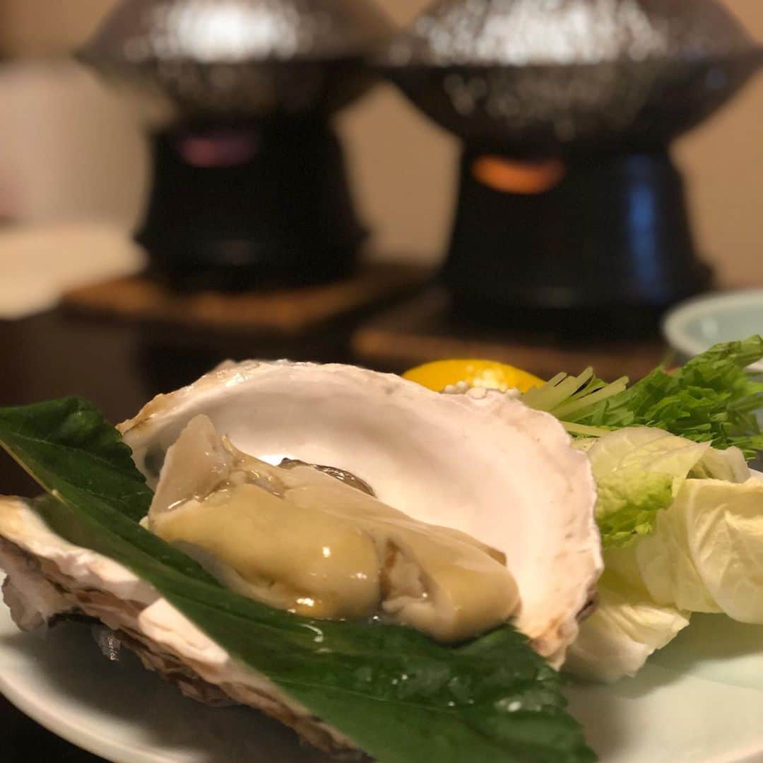 木本泉さんのインスタグラム写真 - (木本泉Instagram)「-﻿ 丹後に来たら絶対に食べたかった﻿ 白イカ🦑﻿ ﻿ 今、ちょうど旬なので絶対に美味しいはず😋﻿ 昨晩、旅館でもいただいた岩牡蠣！ ぷりぷりで美味しい！ ﻿ 今日の夕飯にいただきます！﻿ ﻿ #白イカ#旬#お刺し身#丹後#伊根#izumi_trip」8月11日 18時46分 - izumikimoto