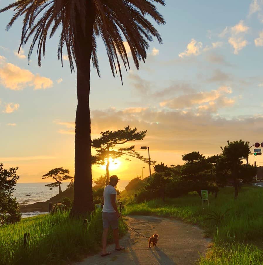 のインスタグラム：「🐕今日も沢山遊んだね  #mydog#dachshund#sunset#beach#summer#walking#palmtrees」