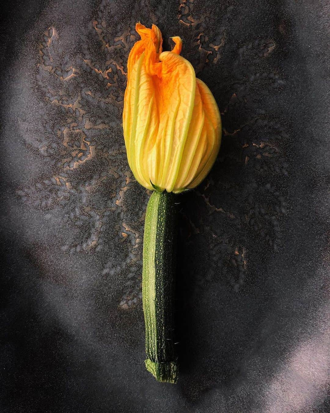 ジェイミー・オリヴァーさんのインスタグラム写真 - (ジェイミー・オリヴァーInstagram)「Repost from @davidloftus Carrying the torch for Veg.. @jamieoliver new book out in a couple of weeks shot by me #VEGbook #courgetteflowers」8月11日 19時01分 - jamieoliver