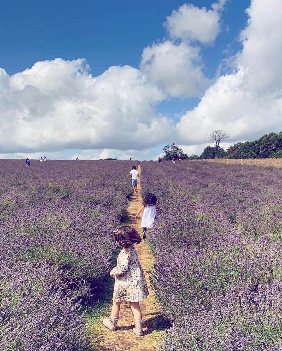 MEGさんのインスタグラム写真 - (MEGInstagram)「ファームでアイスクリームに寄ってきた🐝をみてから、娘が面倒がらず自ら歯磨きをしたいと言うようになった。 うちの母が「甘いの食べたらすぐ歯磨きしないとムシさん(虫歯菌の意味)がくるよ」と娘に何度も言っていたのを、未だにあのサイズの虫も含まれると何となく思っている節があった。リアルに🍦をつついていた🐝をみて、やばいと思ったらしい、笑。 まあ、歯磨きが自然に習慣化するまでもう少しぼんやりさせとこ。#２歳半」8月11日 19時27分 - _x_meg_x_