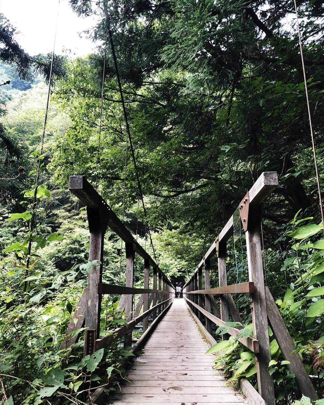 三方美穂さんのインスタグラム写真 - (三方美穂Instagram)「この週末 @hirari0627 がいる長野県に遊びにきた🧡 会いにくるのは2回目☺️ 2日目は #尾白川渓谷 に川あそびして又温泉に🧡 自然がいっぱいで、空気が美味しくて深呼吸めっちゃしたよ〜 #長野県 #旅行 #休日 #川  #とにかく冷たかった2枚目 #必死な2人3枚目 #昔ながらの4枚目 #5名以上一気に渡ることができない橋5枚目」8月11日 19時38分 - mihomikata