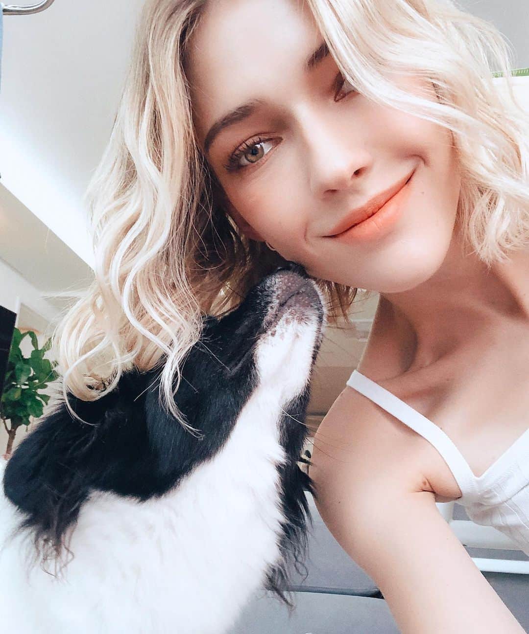 ステファニー・ミチョヴァのインスタグラム：「She just whispered a secret in my ear .... she pooped in the apartment ... 꼬미 귓속말 : 집에 똥 쌌어요 ... #flüsterpost 🤦🏼‍♀️😂」