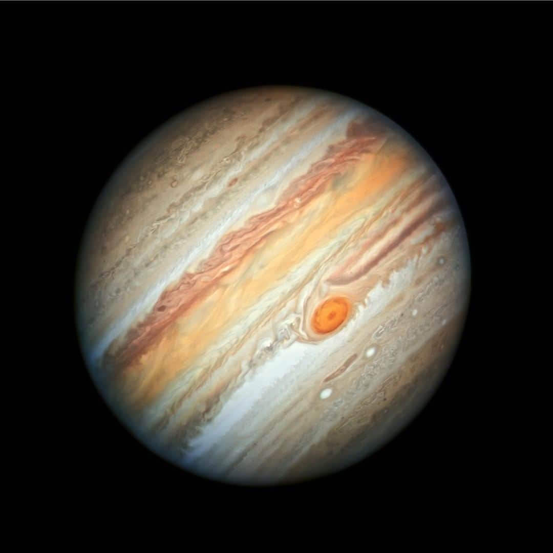 NASAさんのインスタグラム写真 - (NASAInstagram)「This new Hubble Space Telescope view of Jupiter, taken on June 27, 2019, reveals the giant planet's trademark Great Red Spot, and a more intense color palette in the clouds swirling in Jupiter's turbulent atmosphere than seen in previous years. The colors, and their changes, provide important clues to ongoing processes in Jupiter's atmosphere.  The bands are created by differences in the thickness and height of the ammonia ice clouds. The colorful bands, which flow in opposite directions at various latitudes, result from different atmospheric pressures. Lighter bands rise higher and have thicker clouds than the darker bands.  The new image was taken in visible light as part of the Outer Planets Atmospheres Legacy program, or OPAL. The program provides yearly Hubble global views of the outer planets to look for changes in their storms, winds and clouds. Hubble's Wide Field Camera 3 observed Jupiter when the planet was 400 million miles from Earth, when Jupiter was near "opposition" or almost directly opposite the Sun in the sky.  Image Credit: NASA, ESA, A. Simon (Goddard Space Flight Center) and M.H. Wong (University of California, Berkeley)」8月11日 20時28分 - nasagoddard