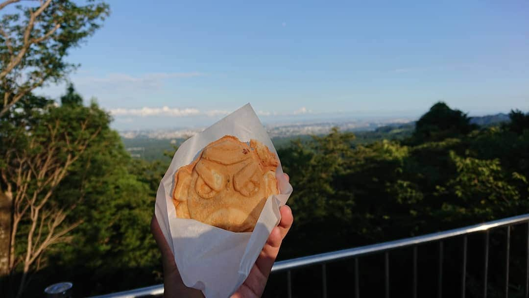 桜花さんのインスタグラム写真 - (桜花Instagram)「美味しいし 何だか可愛いから また会いたくなる  まるで恋みたいだ🌷🌷🌷 天狗やき。。。🍀 皮はもちもち。 餡はほくほく。 主食のようなおかずのような🍀  また会いたくなる天狗やき🍀  #もう会いたい  #食べたい #天狗やき  #天狗焼き #恋  #高尾山  #mountain #mountains」8月11日 20時28分 - mountainohka