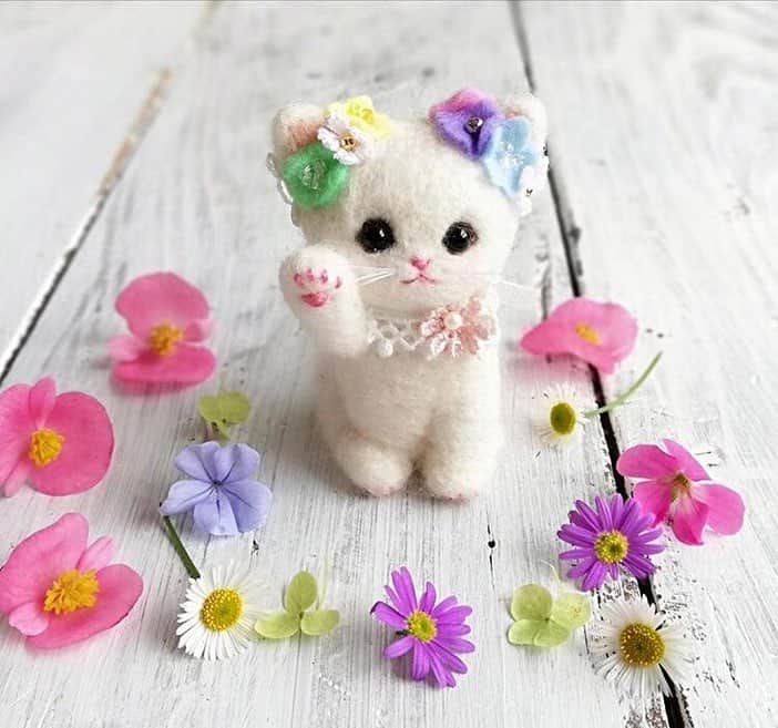 祥吉のグルメインスタ