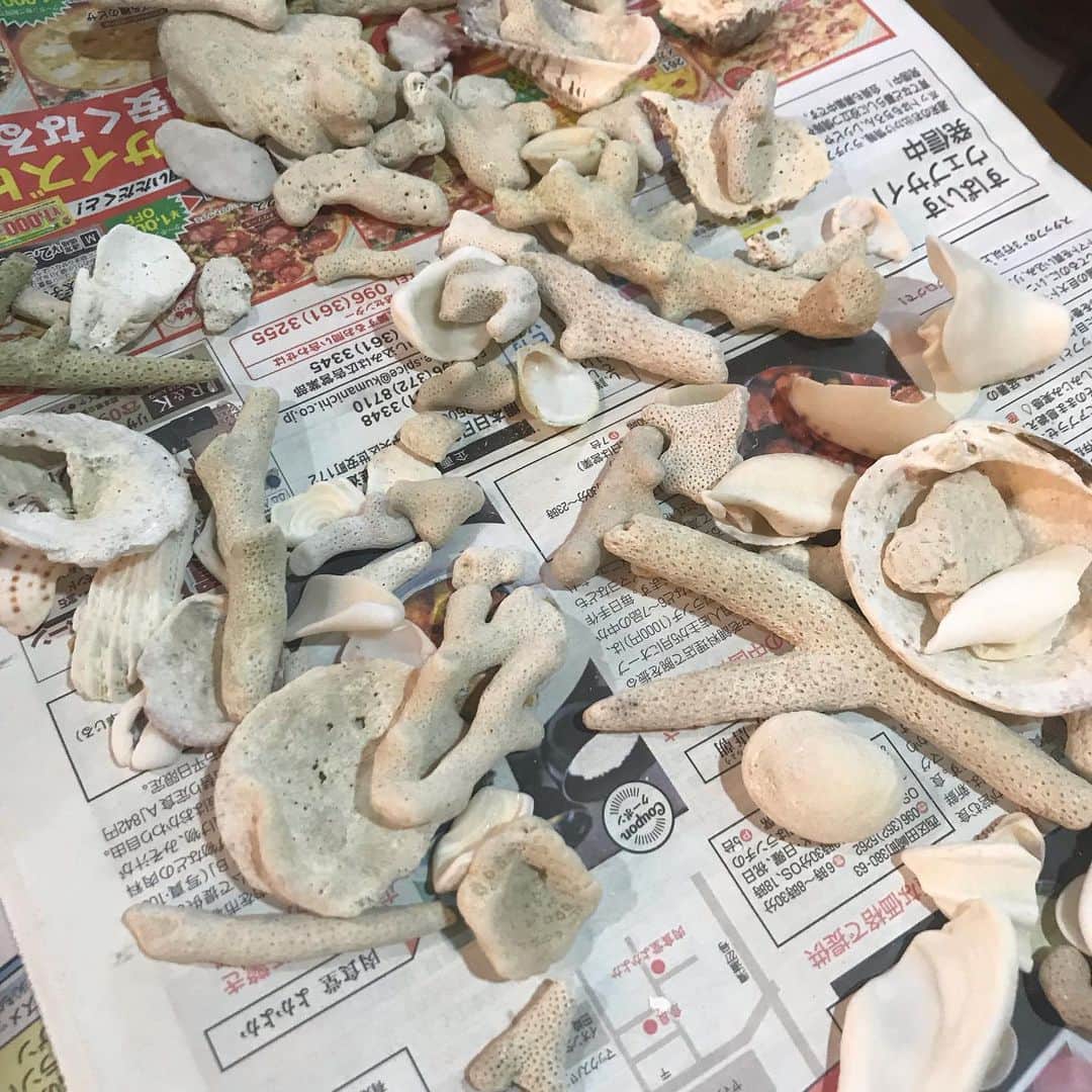 のインスタグラム：「石垣島で集めた貝殻と、紙粘土で、愛娘【夏休みの工作】貯金箱を作る。 初めて練る紙粘土に貝殻をつける単純な作業だけど、楽しく工作。仕上がりが楽しみです。 #水元秀二郎#愛娘#夏休み#工作#貯金箱#石垣島#貝殻#初#紙粘土#可愛い」