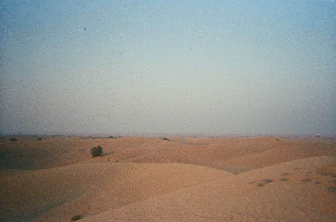 青野楓さんのインスタグラム写真 - (青野楓Instagram)「﻿ 今日はお休みだったので観たかった映画をまとめて観ました！ひとりで(笑)﻿ ﻿ #トイストーリー4 ﻿ #アラジン﻿ #ライオンキング﻿ ﻿ ディズニー3本だて！﻿ ﻿ お仕事で砂漠に行ったことがあり、今まで見た景色の中で一番ってぐらい本当に美しくて、今回ライオンキングとアラジンにも砂漠のシーンがあったのでまた行った気分を味わえました🤤💙﻿ ﻿ まだこのお仕事は言えないんですけど、、﻿ 楽しみにしててね。﻿ ﻿ 幸せな1日だったなー♡」8月11日 21時08分 - kaede626