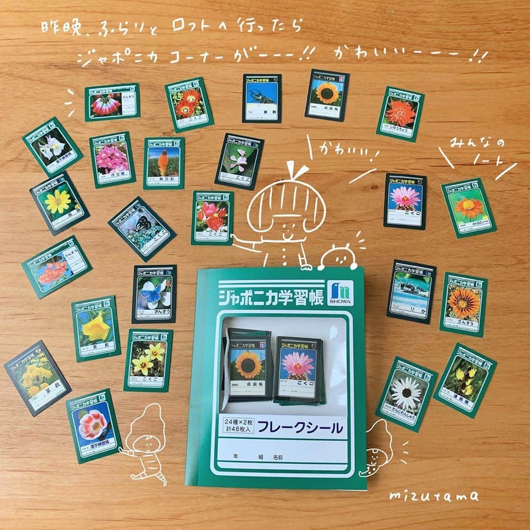 mizutamaのインスタグラム
