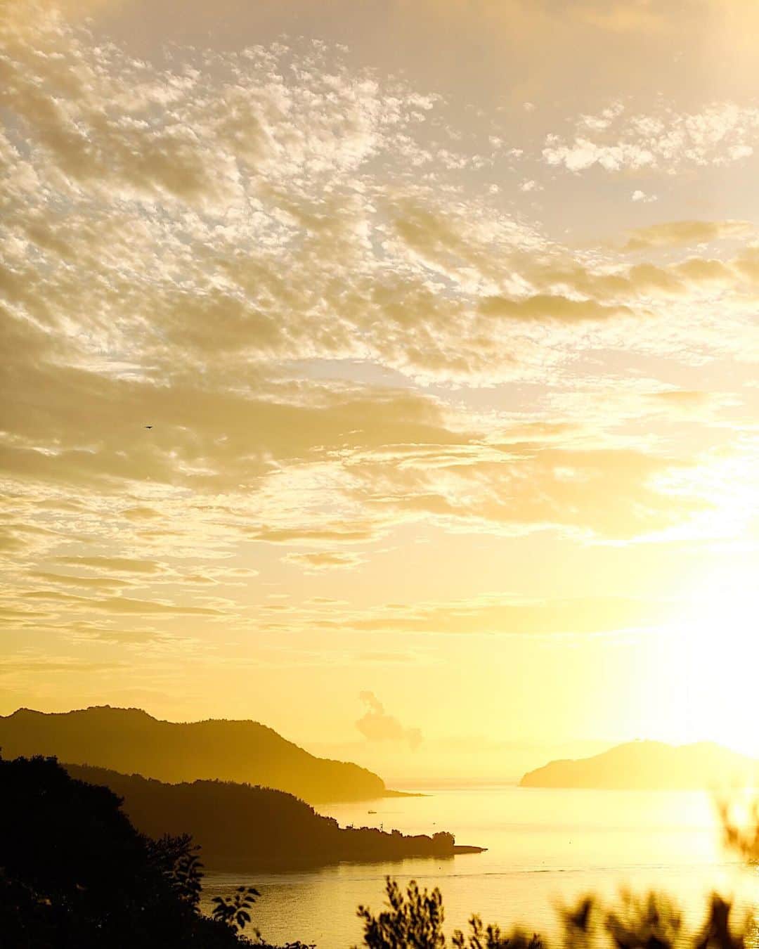 増田由希子さんのインスタグラム写真 - (増田由希子Instagram)「A magnificent ocean view✨ 5:00 a.m #sunrise #oceanview #summervacation #ThesetoInlandsea  #nofilter #morning ピンクに染まった朝焼けをもう一度見たくて翌朝も早起きをしました。しかし部屋から眺めた空は金色。同じ時間帯なのに天候によってこんなにも変化するのですね。 #瀬戸内海 #絶景  #日の出 #加工なし」8月11日 21時24分 - nonihana_