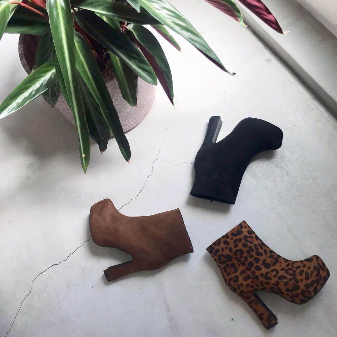 のインスタグラム：「ㅤㅤㅤㅤㅤ NEW ARRIVAL ㅤㅤㅤㅤㅤ boots 【315840031900】 ※8月上旬発売予定 ㅤㅤㅤㅤㅤ ㅤㅤㅤㅤㅤ ◾️只今予約商品先行受注で Ailandポイントが2倍に！ TOP URLをCHECK☑︎ ㅤㅤㅤㅤㅤ ㅤㅤㅤㅤㅤ #CECILMcBEE#styling  #2019#aw2019 #autumn  #ootd #autumnstyle  #fashion#outfitoftheday#trend#style #autumncoordinate  #セシルマクビー #秋ブーツ #秋 #コーデ  #くつ #ショートブーツ #ブーツ #autumnshoes」