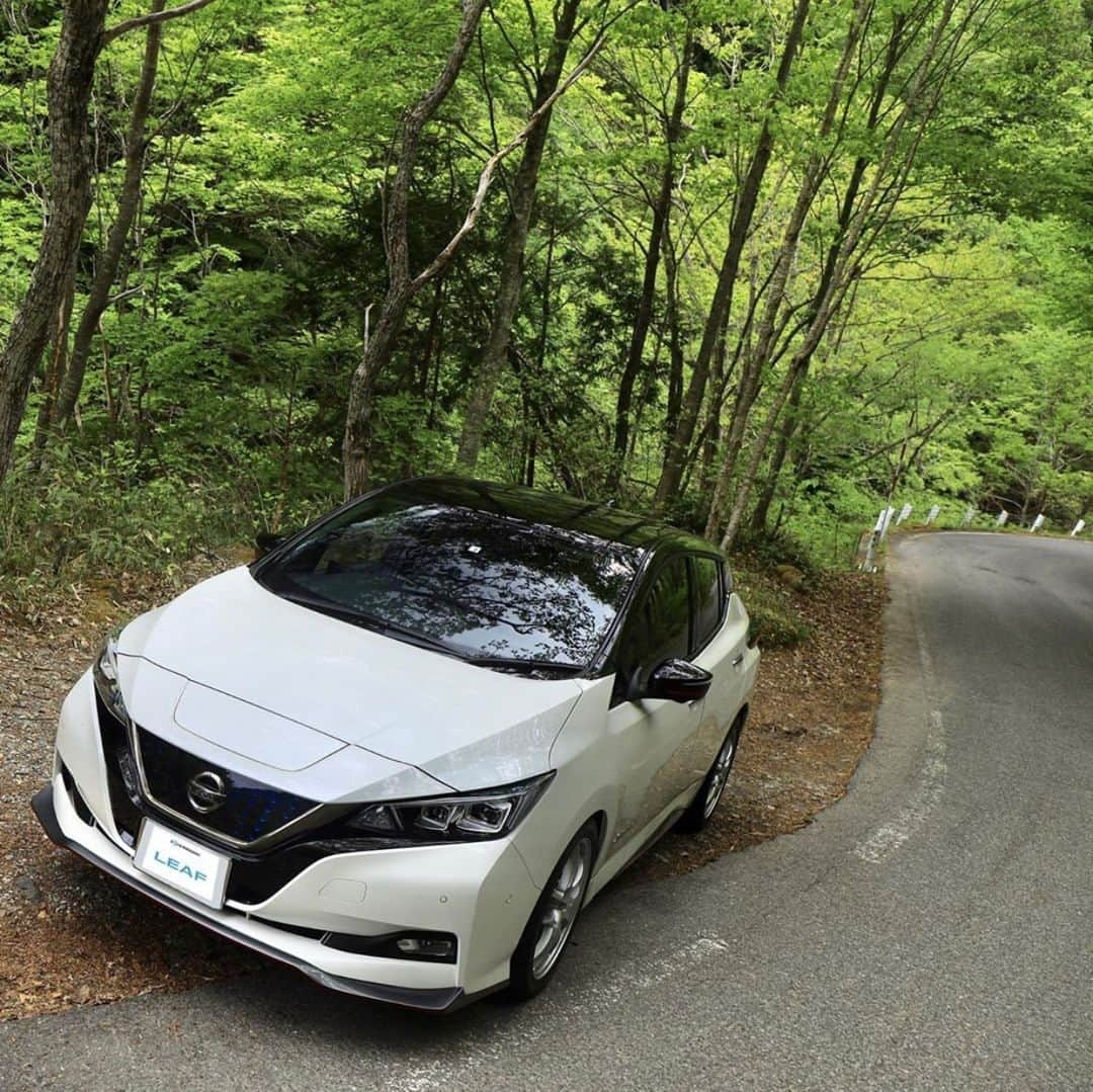 Nissanさんのインスタグラム写真 - (NissanInstagram)「Nature Walks. 🌿 #NissanLEAF #SimplyAmazing 📷&🚗 @aranao_r32」8月11日 22時00分 - nissan