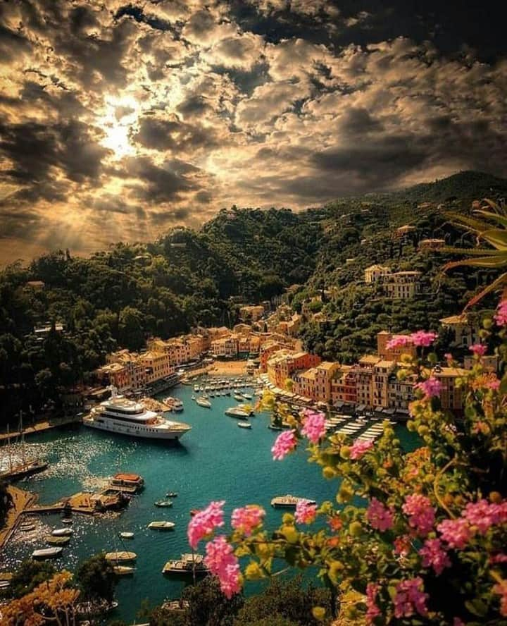 Orient Watchさんのインスタグラム写真 - (Orient WatchInstagram)「Next Stop: Portofino #sundayfunday⁠ ⁠ ⁠ Timeless travels via @gentleman.territory⁠ ⁠ ⁠ #orientstyle⁠ ⁠ ⁠ .⁠ .⁠ #bbctravel #beautifuldestinations #master_shots #ig_worldclub #citybestpics #places_wow #hubs_united #splendid_shotz #princely_shotz #superhubs #fantastic_earth #travelgram #createexplore #huffpostgram #bestvacations #wonderfulworld #dscvr_earth #f4f #likeforlike #super_france #instagram #cbviews #bestcitybreaks #bestdiscovery #awesome_globepix #amalficoast #portofino⁠」8月11日 22時00分 - orientwatch