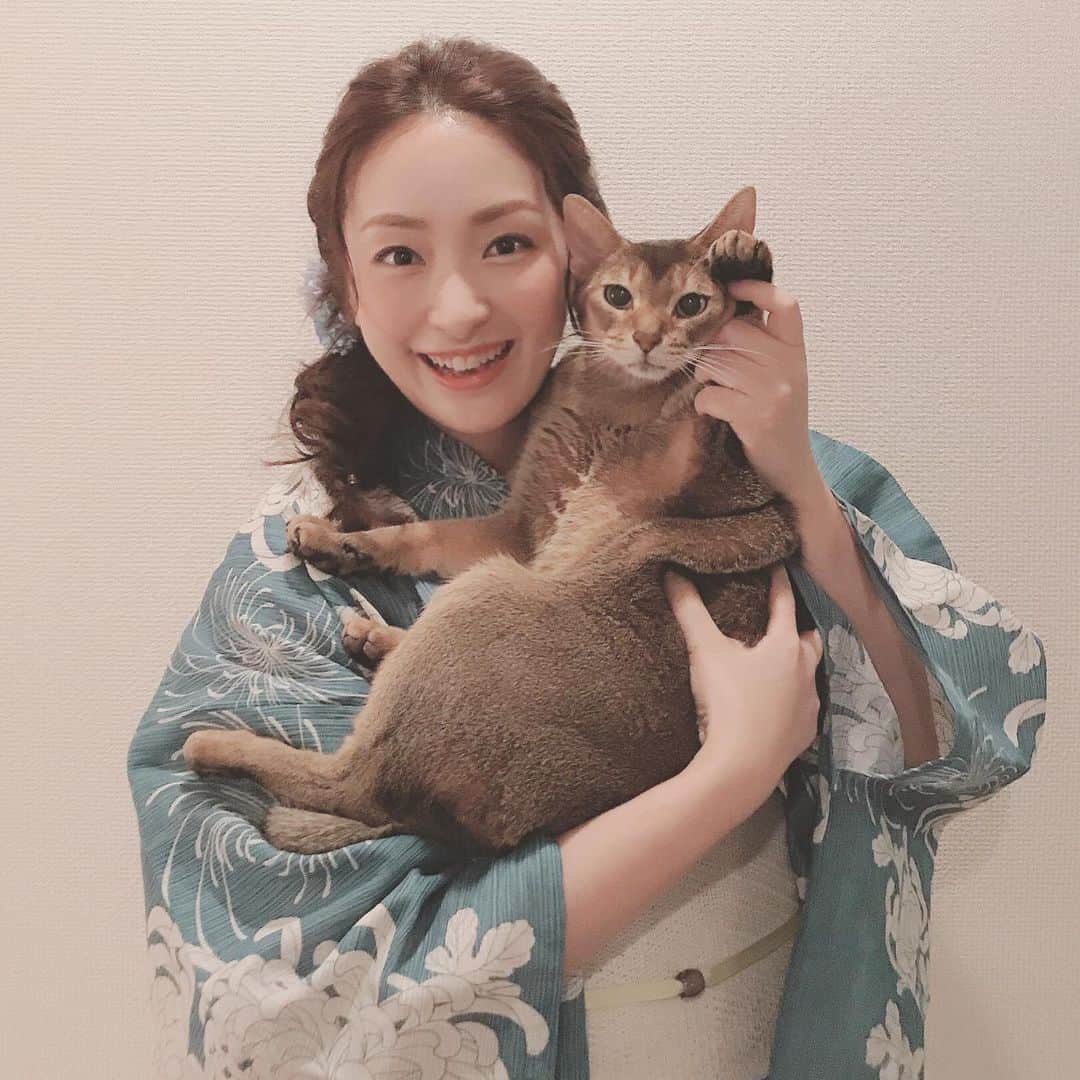 のインスタグラム：「#sega_MJ #猫 #浴衣  #saki」
